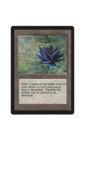 Black lotus